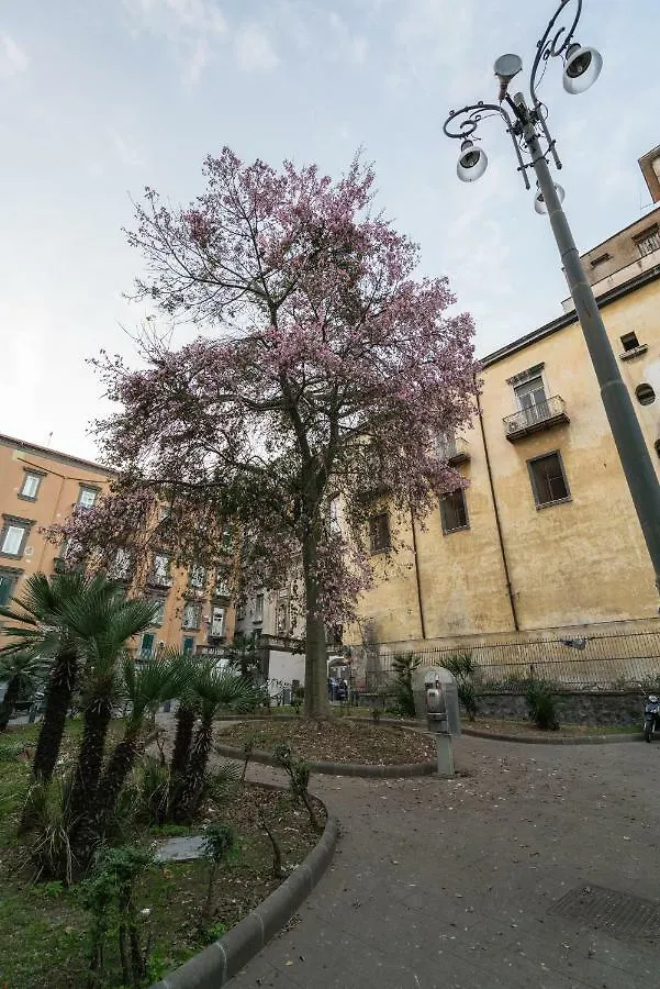 Donnare Casavacanza - Historic Center Of Naples Holiday home